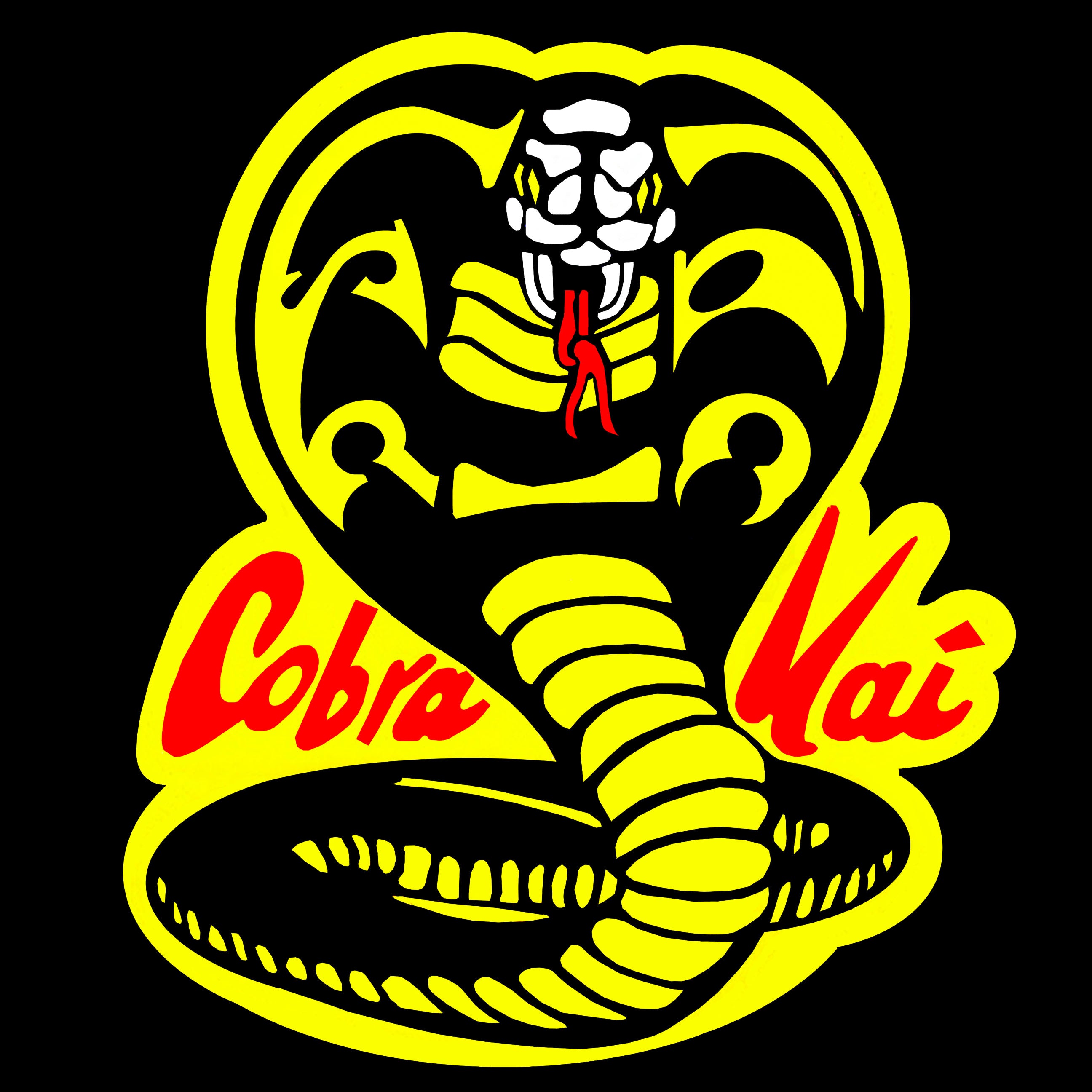 Cobra Kai Karate Black and Gray Raglan Long Sleeve T-Shirt