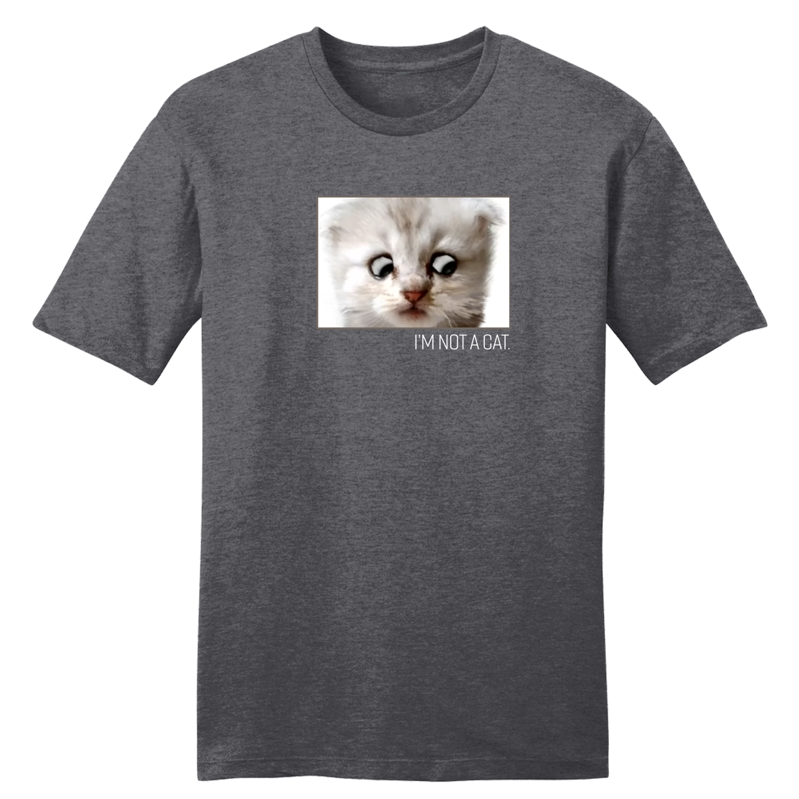 I'm Not a Cat Heather Charcoal tee